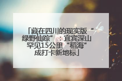 藏在四川的现实版“绿野仙踪”：宜宾深山罕见15公里“稻海”成打卡新地标