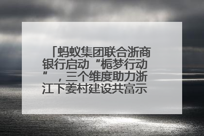 蚂蚁集团联合浙商银行启动“栀梦行动”，三个维度助力浙江下姜村建设共富示范区示范点