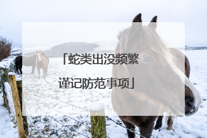 蛇类出没频繁 谨记防范事项