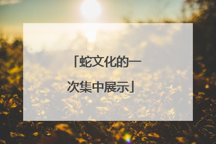 蛇文化的一次集中展示