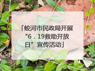 蛟河市民政局开展“6．19救助开放日”宣传活动
