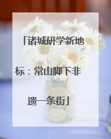 诸城研学新地标：常山脚下非遗一条街