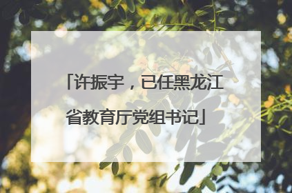 许振宇，已任黑龙江省教育厅党组书记