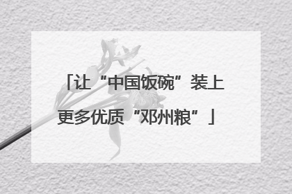让“中国饭碗”装上更多优质“邓州粮”