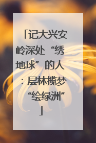 记大兴安岭深处“绣地球”的人：层林揽梦“绘绿洲”
