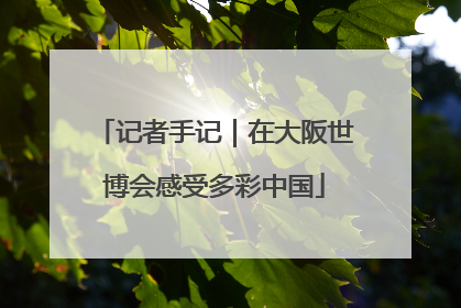 记者手记｜在大阪世博会感受多彩中国