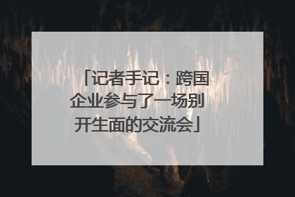 记者手记：跨国企业参与了一场别开生面的交流会