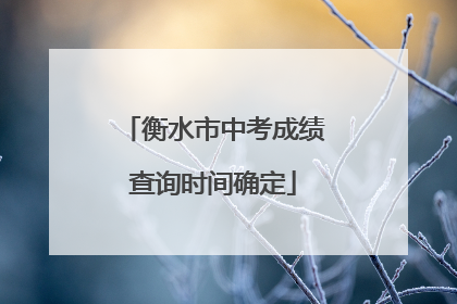 衡水市中考成绩查询时间确定