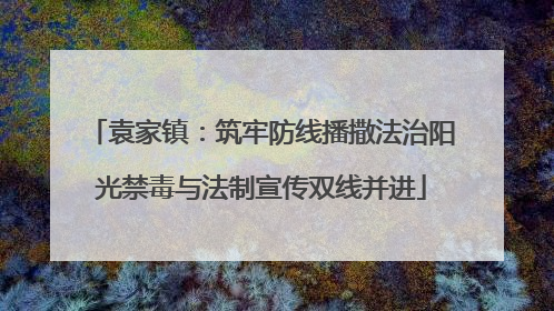 袁家镇：筑牢防线播撒法治阳光禁毒与法制宣传双线并进