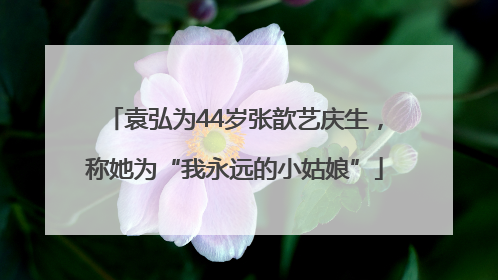 袁弘为44岁张歆艺庆生，称她为“我永远的小姑娘”