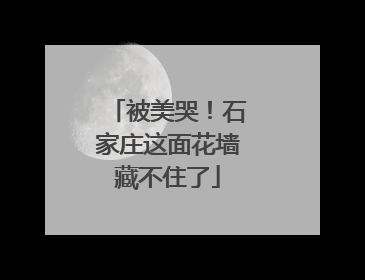 被美哭！石家庄这面花墙藏不住了