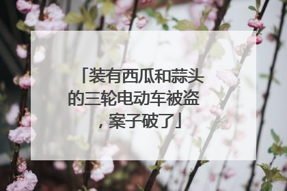 装有西瓜和蒜头的三轮电动车被盗，案子破了