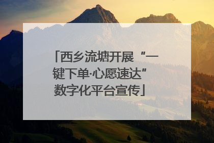西乡流塘开展“一键下单·心愿速达”数字化平台宣传