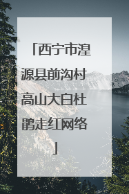 西宁市湟源县前沟村高山大白杜鹃走红网络
