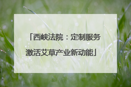 西峡法院：定制服务激活艾草产业新动能