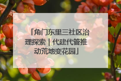 角门东里三社区治理探索｜代建代管推动荒地变花园