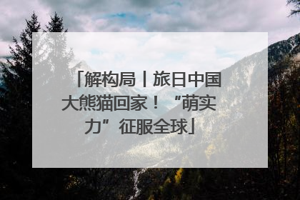 解构局丨旅日中国大熊猫回家！“萌实力”征服全球