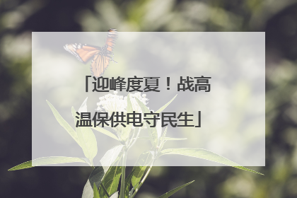 迎峰度夏！战高温保供电守民生