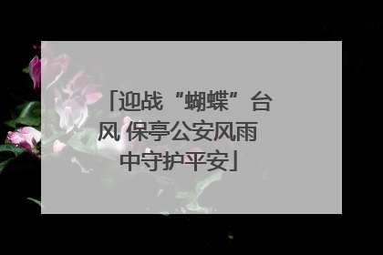 迎战“蝴蝶”台风 保亭公安风雨中守护平安