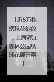 近5万株绣球花绽放，上海滨江森林公园绣球花展开幕