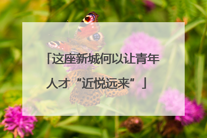 这座新城何以让青年人才“近悦远来”
