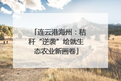 连云港海州：秸秆“逆袭”绘就生态农业新画卷