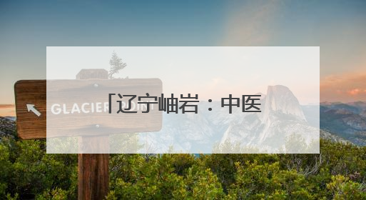辽宁岫岩：中医药夜市护健康