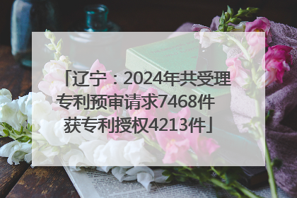 辽宁：2024年共受理专利预审请求7468件 获专利授权4213件