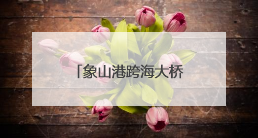 象山港跨海大桥双塔成功封顶