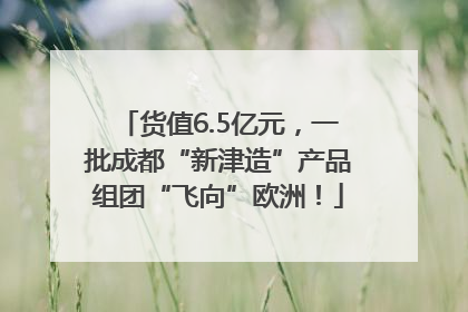 货值6.5亿元，一批成都“新津造”产品组团“飞向”欧洲！