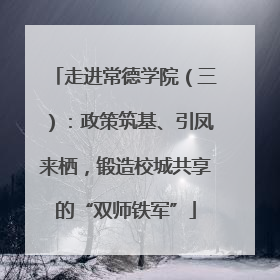 走进常德学院（三）：政策筑基、引凤来栖，锻造校城共享的“双师铁军”