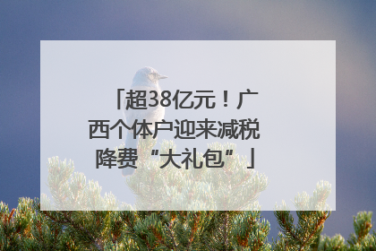 超38亿元！广西个体户迎来减税降费“大礼包”