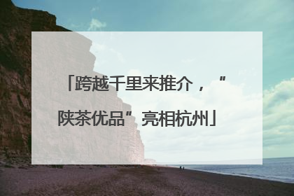 跨越千里来推介，“陕茶优品”亮相杭州