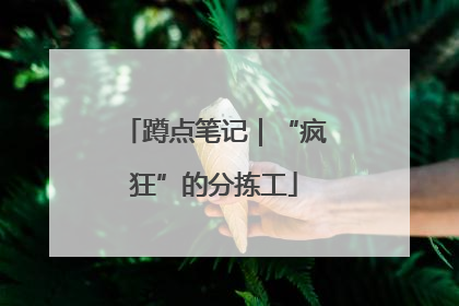 蹲点笔记｜“疯狂”的分拣工