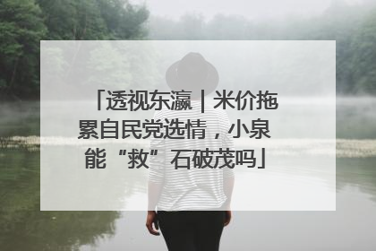 透视东瀛｜米价拖累自民党选情，小泉能“救”石破茂吗