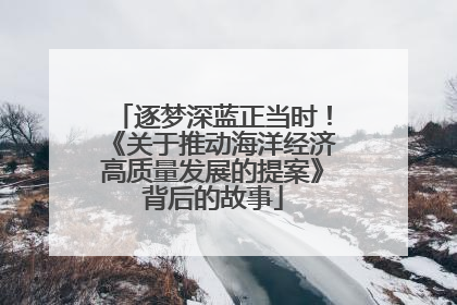 逐梦深蓝正当时！《关于推动海洋经济高质量发展的提案》背后的故事