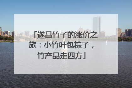 遂昌竹子的涨价之旅：小竹叶包粽子，竹产品走四方