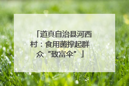 道真自治县河西村：食用菌撑起群众“致富伞”
