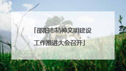 邵阳市精神文明建设工作推进大会召开