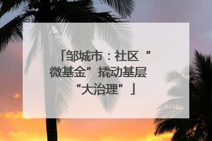 邹城市：社区“微基金”撬动基层“大治理”
