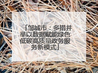 邹城市：多措并举以数据赋能绿色低碳高质量政务服务新模式