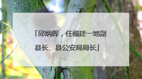 邱炳晖，任福建一地副县长、县公安局局长