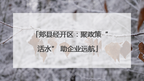 郏县经开区：聚政策“活水” 助企业远航
