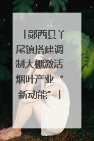 郧西县羊尾镇搭建调制大棚激活烟叶产业“新动能”