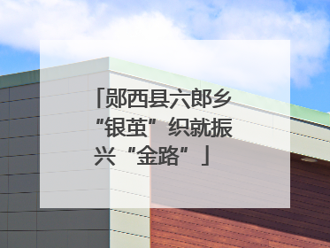 郧西县六郎乡“银茧”织就振兴“金路”