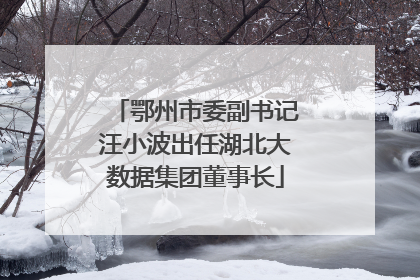 鄂州市委副书记汪小波出任湖北大数据集团董事长