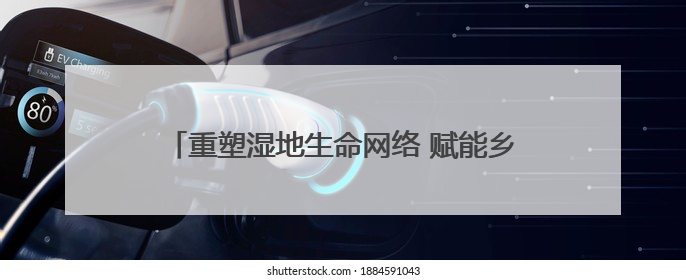 重塑湿地生命网络 赋能乡村“颜值”“产值”双提升