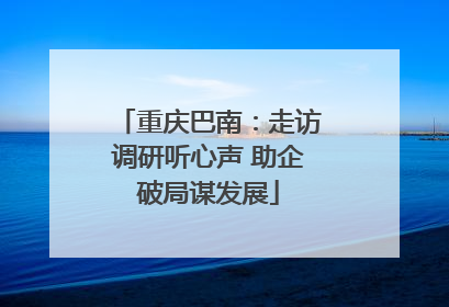 重庆巴南：走访调研听心声 助企破局谋发展