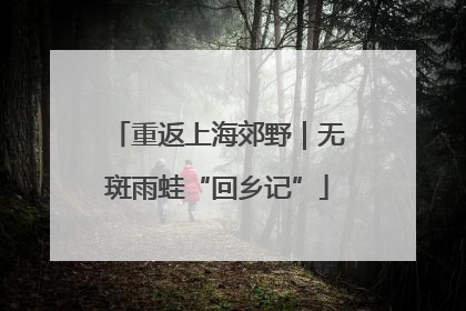 重返上海郊野｜无斑雨蛙“回乡记”
