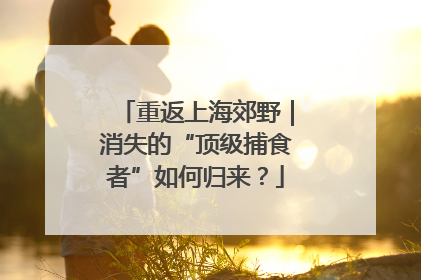 重返上海郊野｜消失的“顶级捕食者”如何归来？